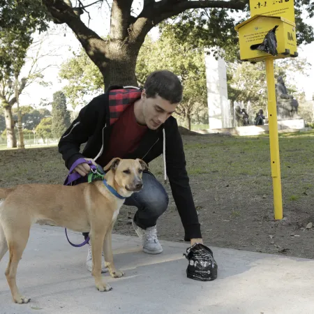 Una diputada propuso que el INDEC haga un censo de mascotas: qué datos incluiría