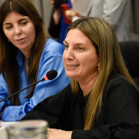 Fugas del PRO a LLA: el “cepo” que divide a Lospennato y otra diputada amarilla