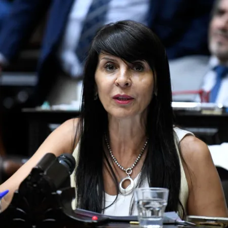 Lorena Villaverde definió su futuro en el Senado con un llamativo argumento