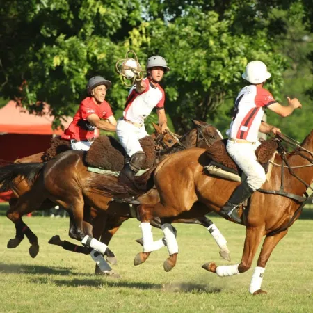83.° Abierto Argentino de Pato en San Miguel: qué se define desde este viernes