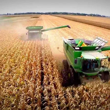 Alivio para el campo: el Gobierno oficializó la baja de retenciones