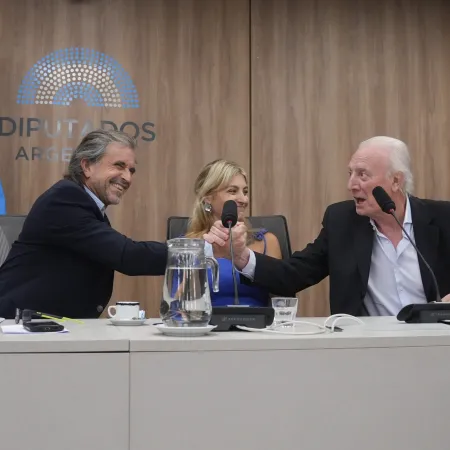 Oficialismo refuerza su poder en Diputados: cómo usarán Legislación Penal y Presupuesto