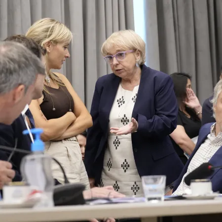 Presupuesto 2026 con sorpresa: se derogaría la Emergencia en Discapacidad y otra ley clave