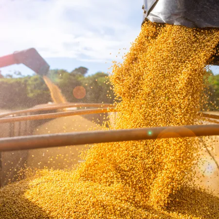 Brasil le gana la pulseada de la soja a Estados Unidos: qué cambia en el mapa del poder