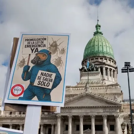 Discapacidad: punto por punto, qué dice la ley que Milei no pudo derogar en Diputados