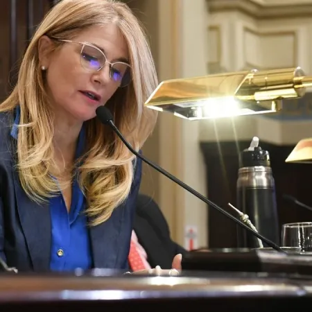 El Senado bonaerense incompleto: Habrá dos bancas sin ocupar por los próximos meses