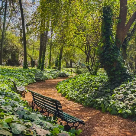 Cómo funcionan los refugios climáticos para protegerse de las altas temperaturas
