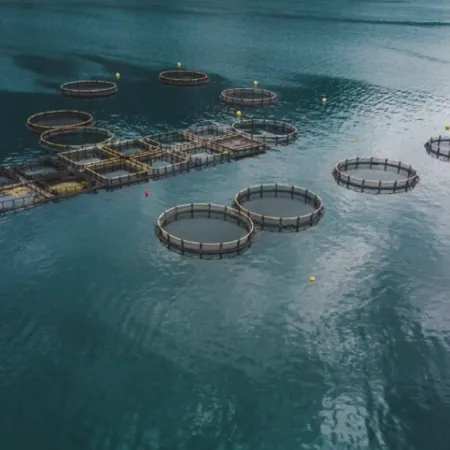 Argentina reabre el debate del salmón y mira el modelo chileno en la Patagonia