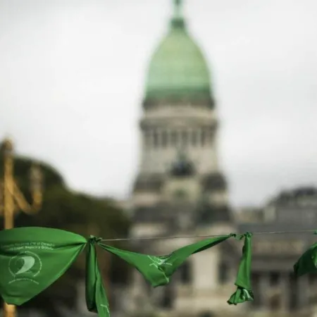 Amnistía Internacional cuestiona a Milei por falta de insumos para abortos legales