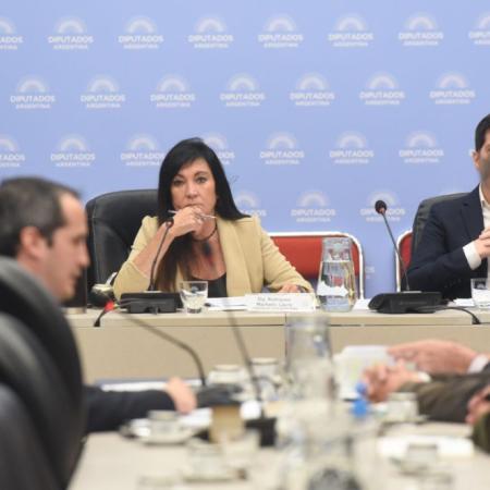 Diputados activa comisiones clave: qué busca definir el Gobierno en extraordinarias