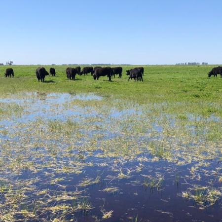 Anuario 2025: las diez noticias que marcaron el año del campo en la provincia de Buenos Aires