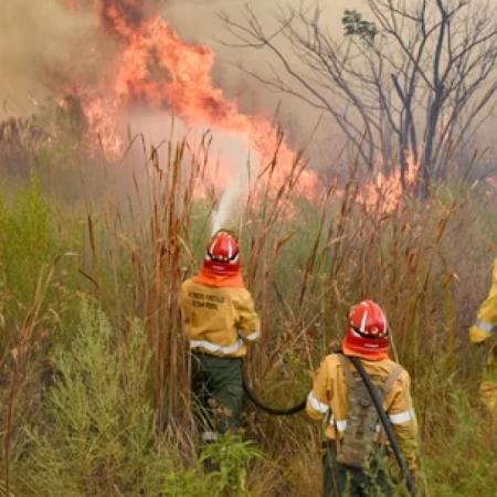 Parques Nacionales: prohíben el uso del fuego hasta abril de 2026 por riesgo extremo de incendios
