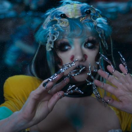 Björk lanzará nuevo disco el próximo año