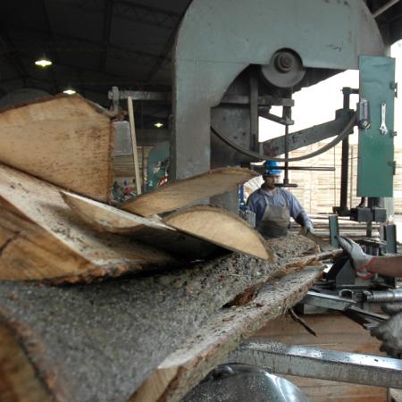 Con exportaciones al mercado asiático, el sector forestal cierra el año con buenas expectativas