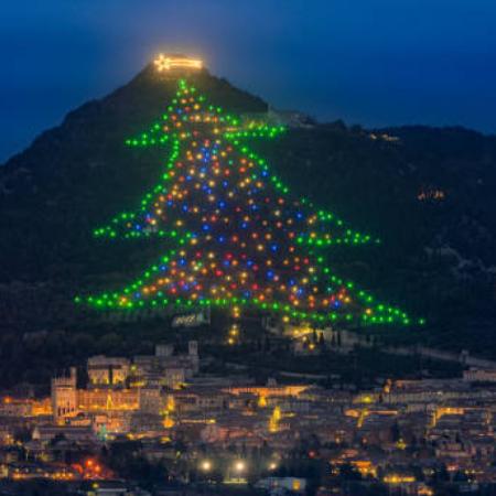 Italia enciende el árbol de Navidad más grande del mundo en Gubbio