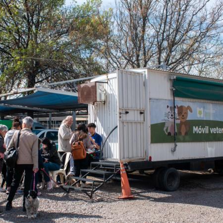 Hospital veterinario público en Mendoza: dónde se construirá y qué ofrecerá