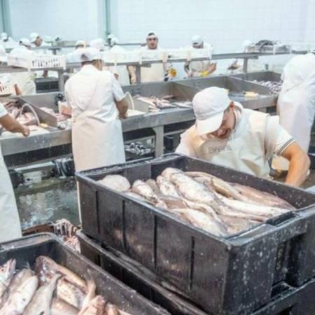 Otro mal año para la pesca: “Tenemos un Estado que ignora al sector y no lo acompaña”