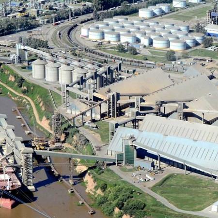 En 2025, la agroindustria cerró el año con exportaciones por USD 31.338 millones