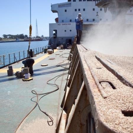 Con soja, carne  vacuna y girasol a la cabeza, el agro generó USD USD 46.456 millones en 2025