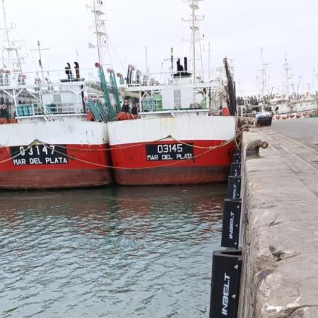 Desde Mar del Plata empujan un plan para la pesca bonaerense: “El potencial es enorme”