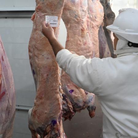 El ROSGAN alertó por la fuerte dependencia de China en las exportaciones de carne vacuna