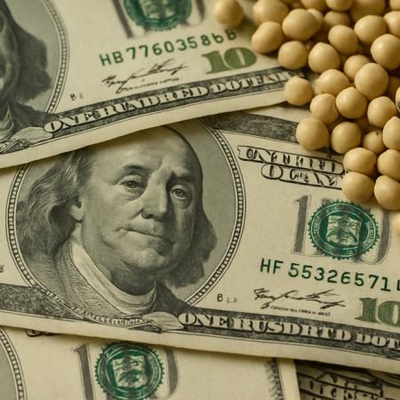 Sorpresa: el Gobierno anunció una baja en los derechos de exportación en granos y subproductos