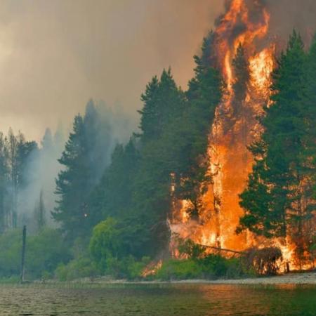 Incendios en Chubut: para hoy se esperan lluvias, pero se mantiene la alerta por "catástrofe ígnea"