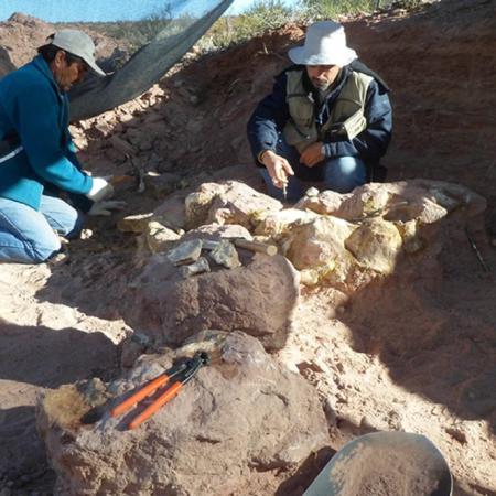 Descubren al Yeneen houssayi en Neuquén: una nueva especie de dinosaurio titanosaurio de 83 millones de años