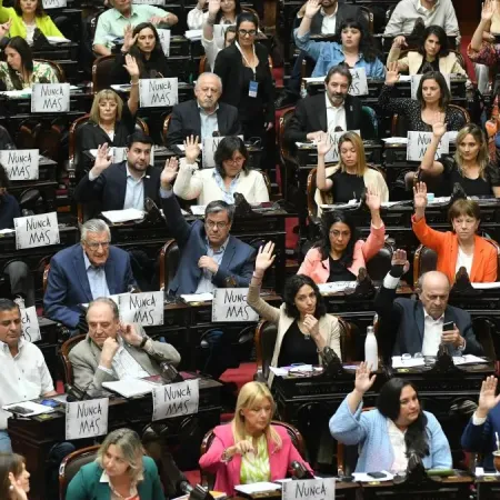 Paridad incompleta: las mujeres ocupan el 45% de las bancas del Senado