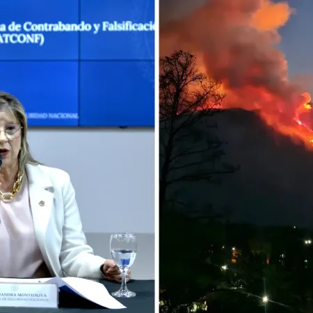 "Grupos terroristas": fuerte advertencia de Monteoliva por los incendios en Chubut
