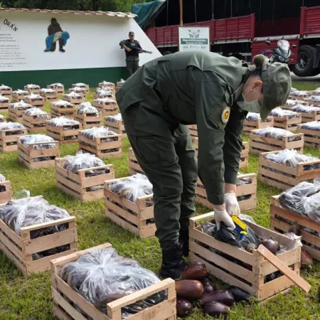 Incautaron más de 31 kilos de cocaína ocultos en un cargamento de berenjenas en Salta