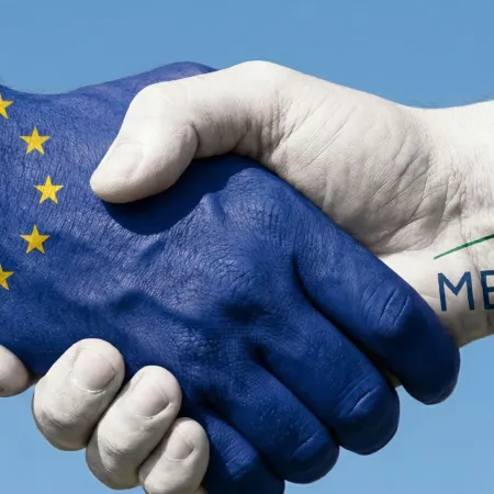 Viernes clave para el acuerdo UE–Mercosur: riesgos y oportunidades, según un informe