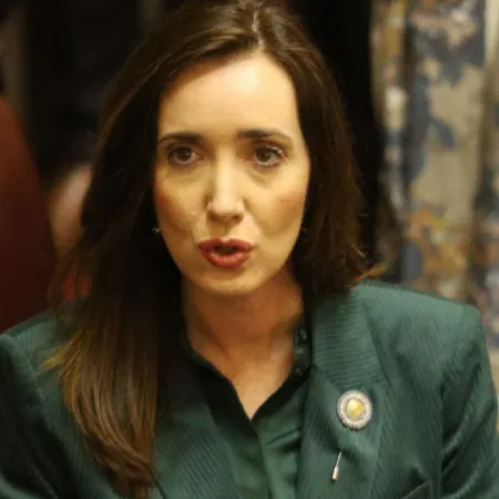 Villarruel endurece su discurso por los incendios en la Patagonia