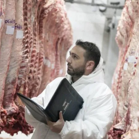 La faena de bovinos cayó 2,5% en 2025 pero dejó algunas señales positivas