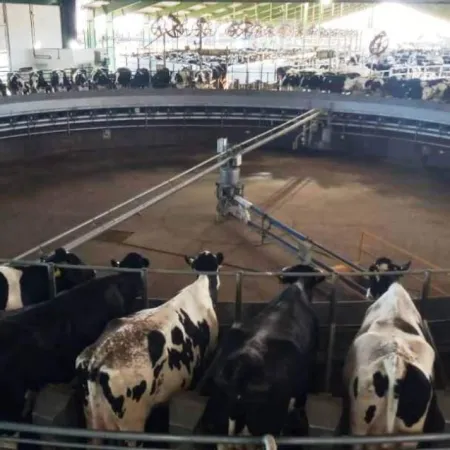La producción de leche mostró su mejor cifra de la década pero con cada vez menos tambos
