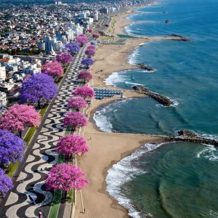 Costa de Mar del Plata: el tuit viral de un excandidato que desató la polémica