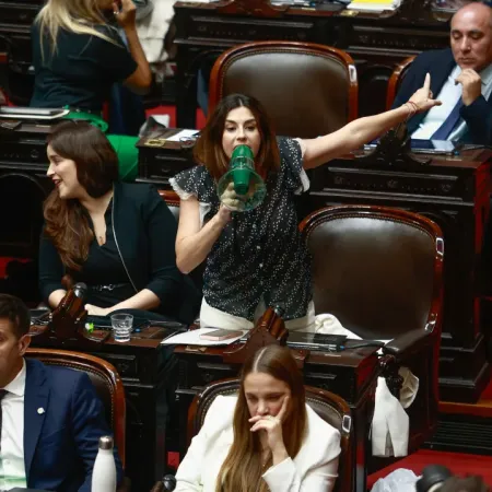 ¿Cárcel para funcionarios? El plan de Pagano por los incendios en la Patagonia