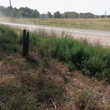 “Para nada fue un robo”: La grave denuncia de un productor tambero que votó contra la suba de tasas