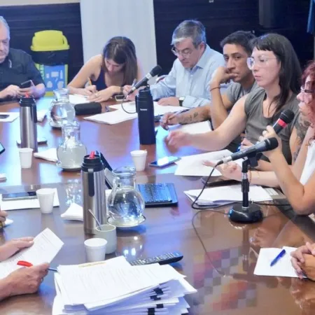 Cardiopatías congénitas: familiares alertan que el ajuste pone en riesgo la atención de miles de chicos