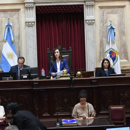 Villarruel en el centro de la escena: la sesión del Senado que agita la interna liberal