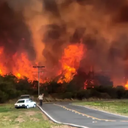 El Gobierno impulsa penas más duras contra quienes provocan incendios forestales
