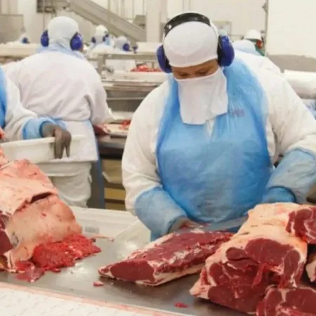 Brasil rompe todo los récords en exportaciones de carne vacuna