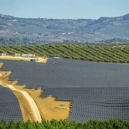Marruecos impulsa su cosecha mientras el campo español pierde árboles por energía