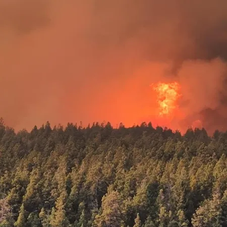 Emergencia Ígnea en debate: cómo podría cambiar la ayuda a la Patagonia