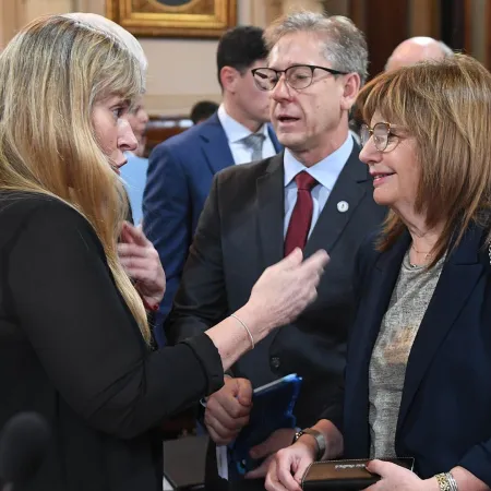 Bullrich, reforma laboral y 10 votos de oro: qué busca la UCR y cómo juega Valdés