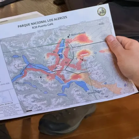 Emergencia ígnea en Chubut, Río Negro, Neuquén y La Pampa: qué habilita el DNU de Milei