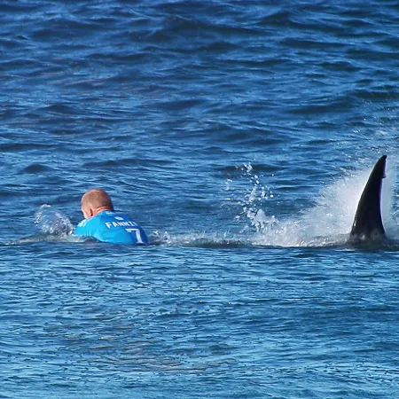 El día que Mick Fanning luchó contra un tiburón y cambió la historia del surf