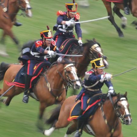 El Regimiento de Granaderos a Caballo: conocé los secretos que cambiaron la historia