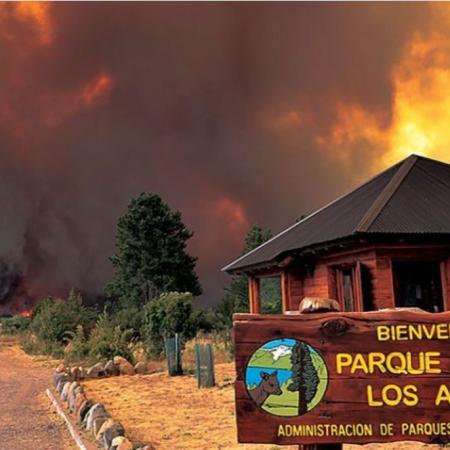 Incendio en Los Alerces: así es el operativo de emergencia para combatir el fuego