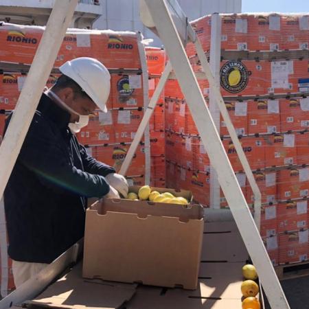 Unión Europea–Mercosur: qué gana el agro argentino y qué dudas plantea el acuerdo